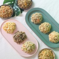 맛밀 강아지 자연식 화식 12종 30개 올인원 세트
