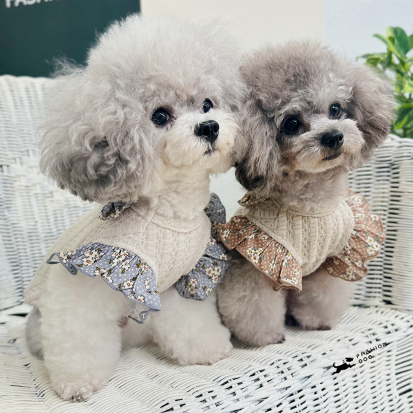 페오펫몰,[패션독]애견의류,강아지옷,강아지가을옷,강아지패션,강아지니트,강아지티셔츠,클리오니트티