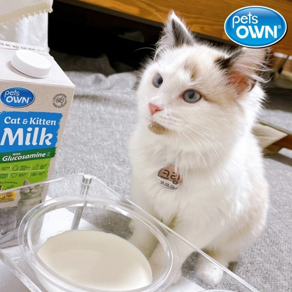 페오펫몰,[따스한특가] 펫츠온 호주 프리미엄 펫밀크 1Lx8팩 캣앤키튼 글루코사민 고양이 멸균우유/7차신규입고