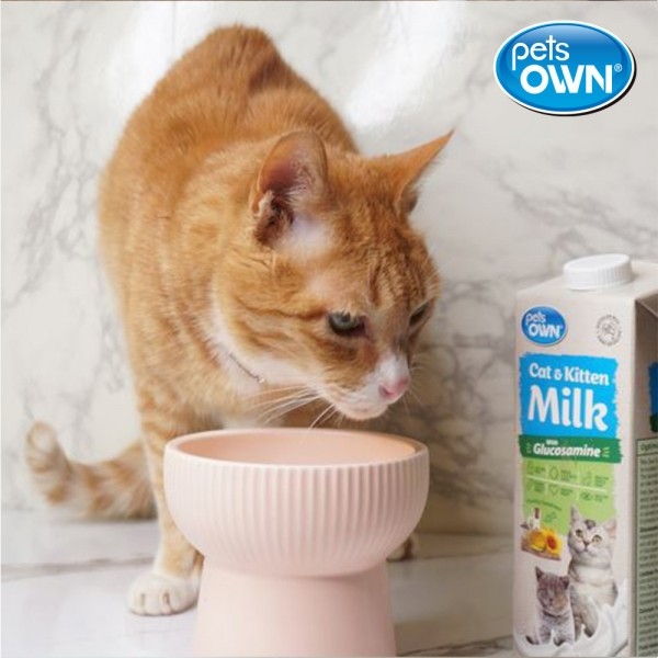 페오펫몰,[따스한특가] 펫츠온 호주 프리미엄 펫밀크 1Lx8팩 캣앤키튼 글루코사민 고양이 멸균우유/7차신규입고