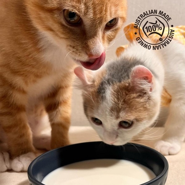 페오펫몰,[따스한특가] 펫츠온 호주 프리미엄 펫밀크 1Lx8팩 캣앤키튼 글루코사민 고양이 멸균우유/7차신규입고