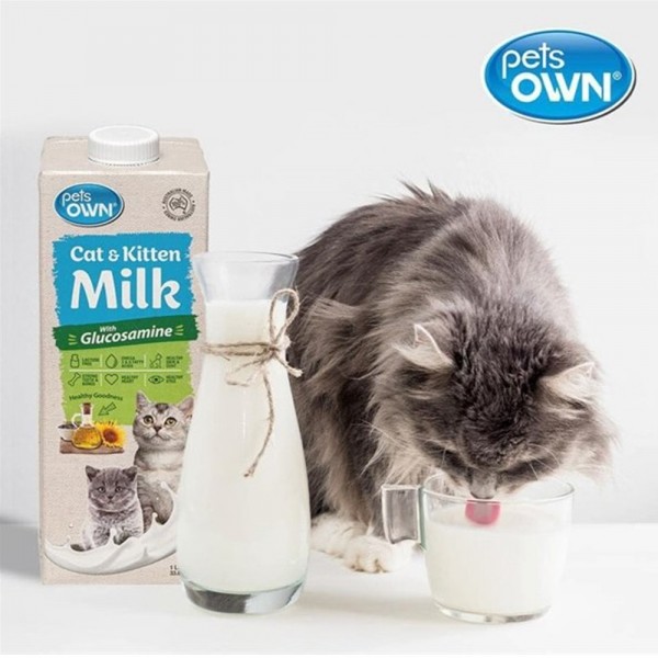 페오펫몰,[따스한특가] 펫츠온 호주 프리미엄 펫밀크 1Lx8팩 캣앤키튼 글루코사민 고양이 멸균우유/7차신규입고