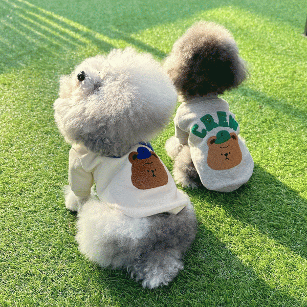 페오펫몰,[패션독]애견의류,강아지옷,강아지봄옷,강아지티셔츠,강아지데일리룩,강아지산책룩,크루맨투맨