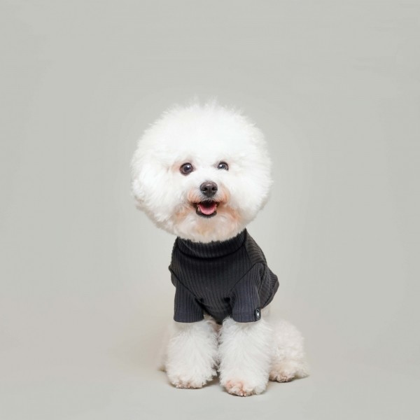페오펫몰,베이직 터틀넥 차콜