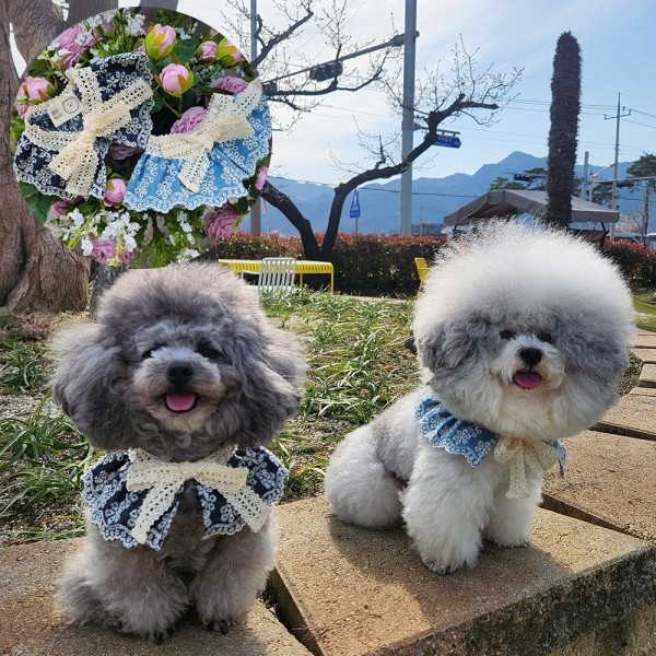 페오펫몰,[패션독]애견의류,강아지악세사리,강아지목걸이,강아지케이프,강아지여름,데님케이프