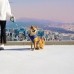 썸네일(스크롤)