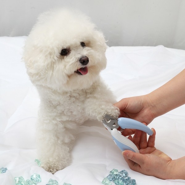 페오펫몰,펫토리아  LED 잘보여 안전 강아지 고양이 발톱깎이