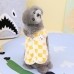 썸네일(스크롤)
