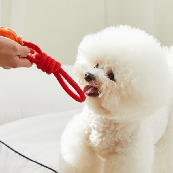 페오펫몰,펫토리아 강아지 터그놀이 장난감 소시지와 케찹 세트