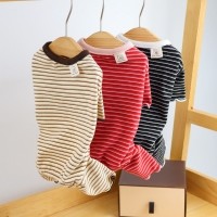 데일리베어올인원, 강아지가을신상, 강아지티셔츠, 강아지올인원, 강아지가을옷, 강아지패턴옷, 강아지산책룩