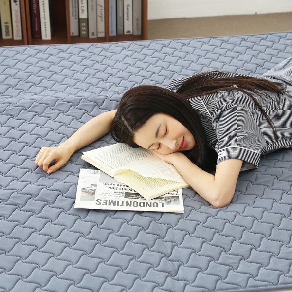 페오펫몰,[반려인혜택] 한일의료기 탄소 매트 극세사 HIM-3000D2 더블 (좌우 분리 개별 난방)