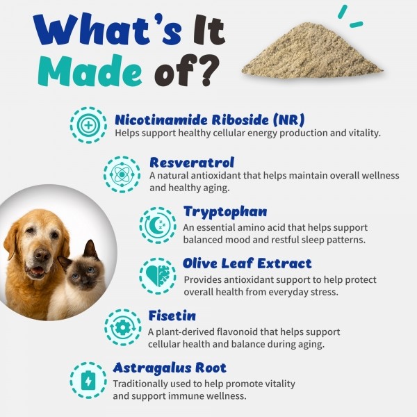 페오펫몰,브랜바인 엔에이디 셀벳 강아지 고양이 텔로미어 NAD  세포 기능 건강수명