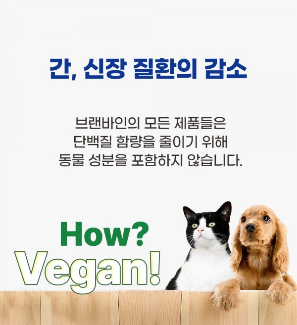 페오펫몰,브랜바인 엔케이티 셀벳 강아지 고양이 면역 종양 대비 천연스테로이드 천연항생제