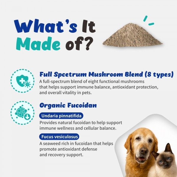 페오펫몰,브랜바인 엔케이티 셀벳 강아지 고양이 면역 종양 대비 천연스테로이드 천연항생제