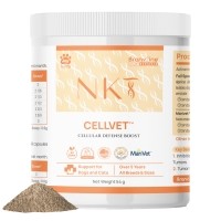 브랜바인 엔케이티 셀벳 강아지 고양이 면역 종양 대비 천연스테로이드 천연항생제