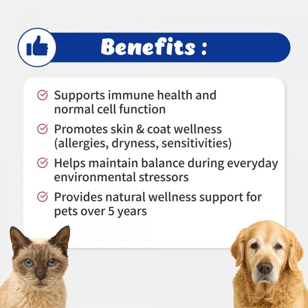 페오펫몰,브랜바인 엔케이티 셀벳 강아지 고양이 면역 종양 대비 천연스테로이드 천연항생제