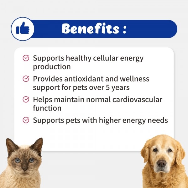 페오펫몰,브랜바인 에이티비 셀벳 강아지 고양이 면역 종양 지원 천연강심제