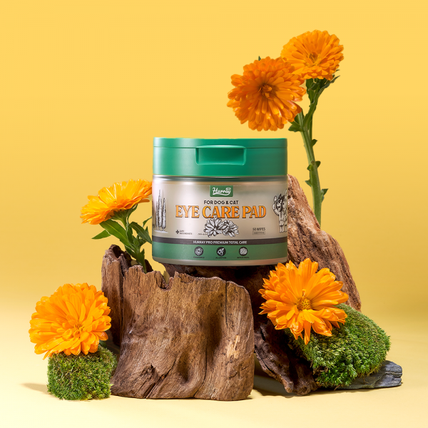 페오펫몰,[허레이]프로 아이+이어케어 패드SET