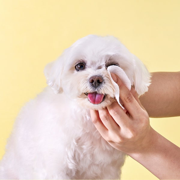 페오펫몰,[허레이]프로 아이+이어케어 패드SET