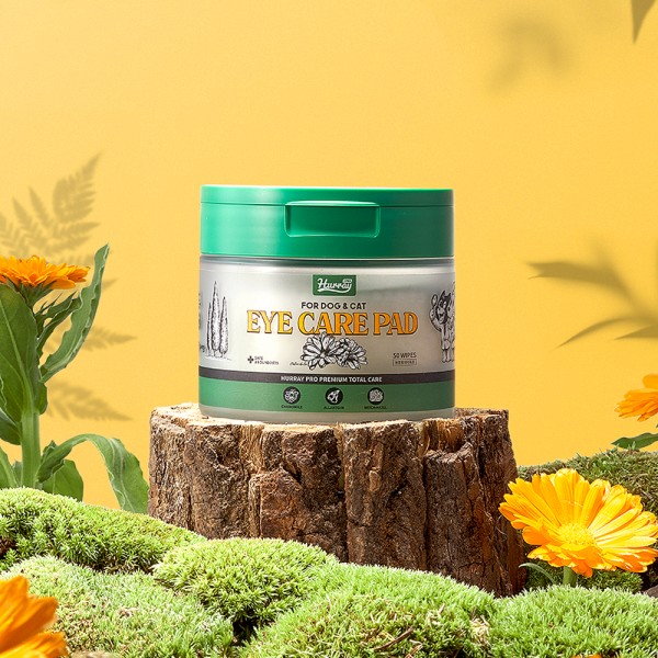 페오펫몰,[허레이]프로 아이+이어케어 패드SET