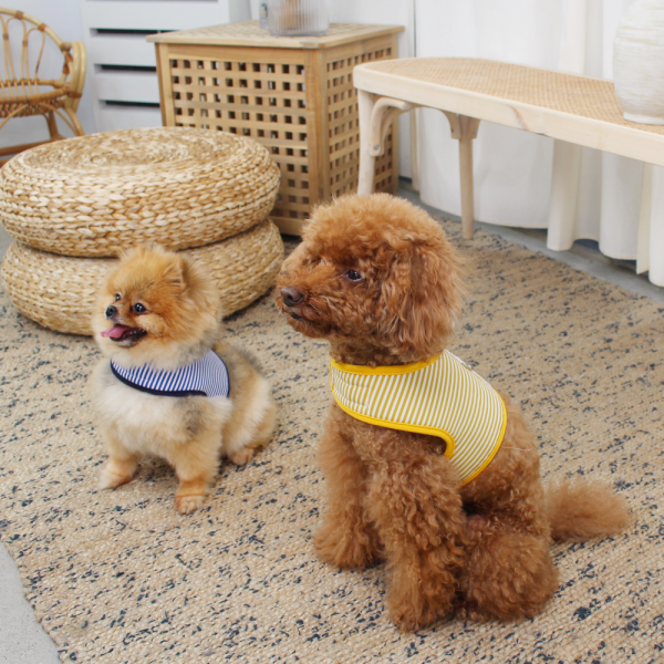 페오펫몰,[스윗테일][꽃길특가] 핸드메이드 강아지 스트라이프 하네스 M [반려동물]