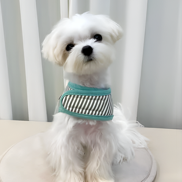 [스윗테일][꽃길특가] 핸드메이드 강아지 스트라이프 하네스 L[반려동물]