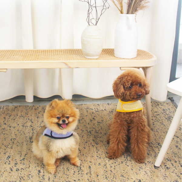 페오펫몰,[스윗테일][꽃길특가] 핸드메이드 강아지 스트라이프 하네스 L[반려동물]