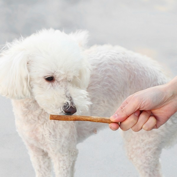 페오펫몰,[오래오래프로젝트] 깨끗한육포 오래먹는 낙타 식도근스틱 120g