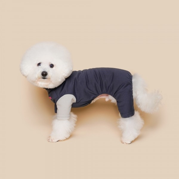 페오펫몰,컬러 포인트 올인원 그레이