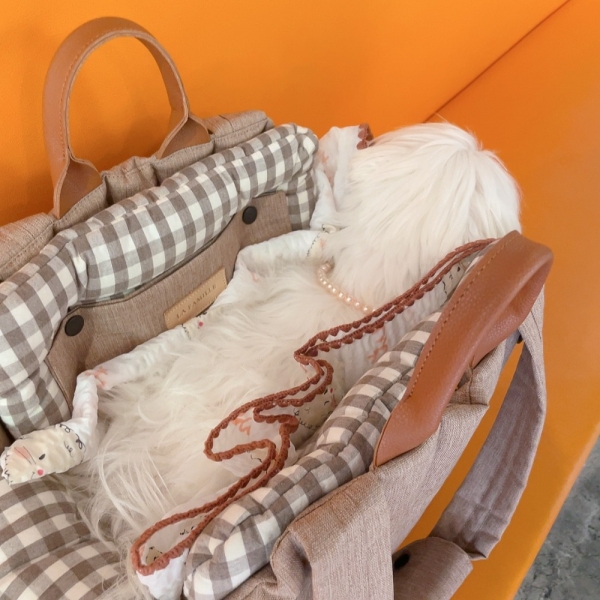 페오펫몰,라파미유 베베블랭킷 강아지담요 강아지이불 POODLE CREAM L