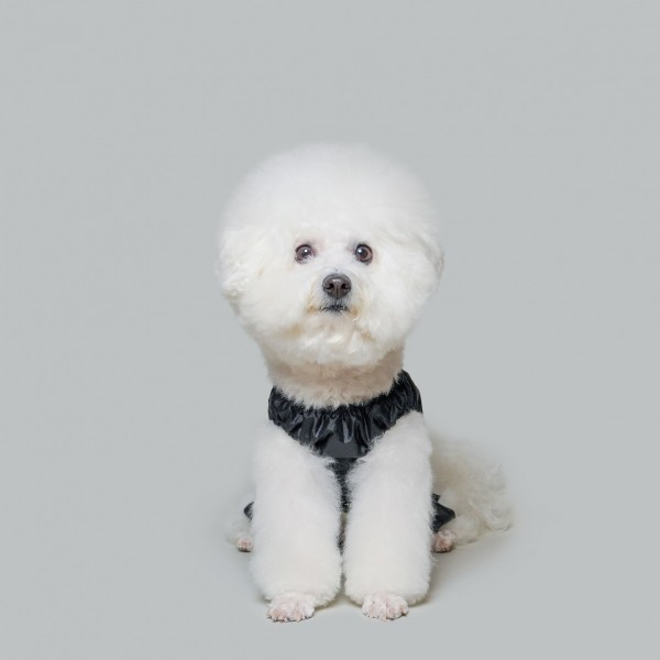 페오펫몰,풉백 점프수트 블랙