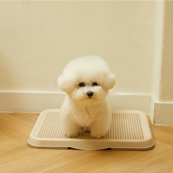페오펫몰,엔비오 뉴트리션 멀티영양제 강아지고양이 겸용 + 페페츠 강아지배변판(소형)