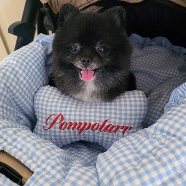 페오펫몰,폼포라펫 강아지 체크 프릴 쿨라이너 세트 애견 유모차 쿨시트 여름 방석 개모차 대형견 쿠션