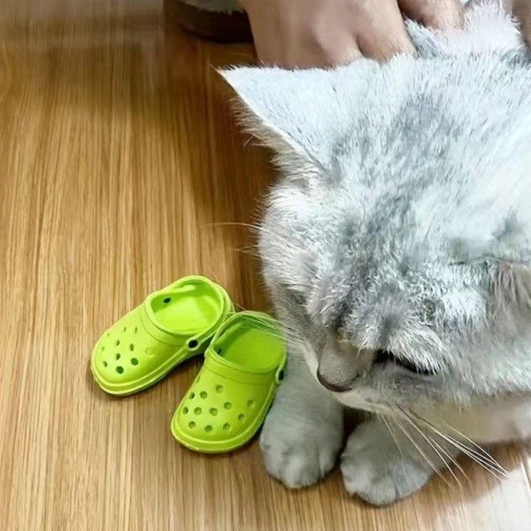 페오펫몰,크레용펫 고양이 냥록스 애견  신발 촬영 소품