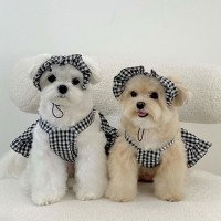 크레용펫 강아지 체크 멜빵 원피스 모자 세트