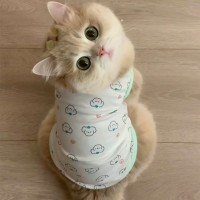 크레용펫 강아지 옷 나시 티 민소매 여름 실내복