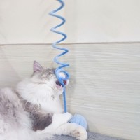 크레용펫 고양이 삼줄 사이잘 로프 스크래쳐 리필