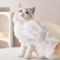 크레용펫 목욕 펫티슈 장갑형 6매입