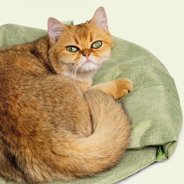 페오펫몰,크레용펫 바스락 낙엽잎 숨숨집 동굴 하우스