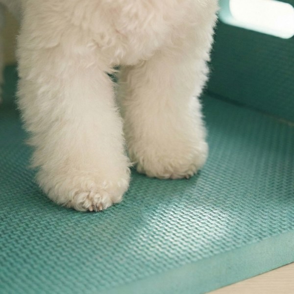 페오펫몰,[꽃길특가]크레용펫 코지 폼 하우스 대형 강아지 집