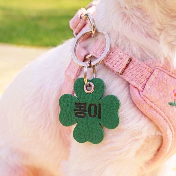 페오펫몰,크레용펫 행운의 클로버 레이저각인 인식표