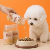 사르르 국내산 황태 파우더 솔솔이 50g