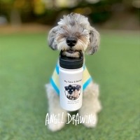 반려동물 강아지 고양이 사진 그림 커스텀 주문제작 라운드 핸들 보틀 (350ml)