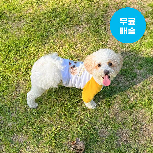 페오펫몰,반려동물 사진 그림 강아지옷 고양이옷 주문제작 반려동물 래글런 티셔츠