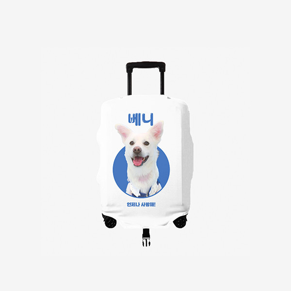 페오펫몰,반려동물 강아지 고양이 사진 그림 커스텀 주문제작 캐리어 커버