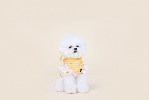 페오펫몰,돌리 스카프 (4컬러)