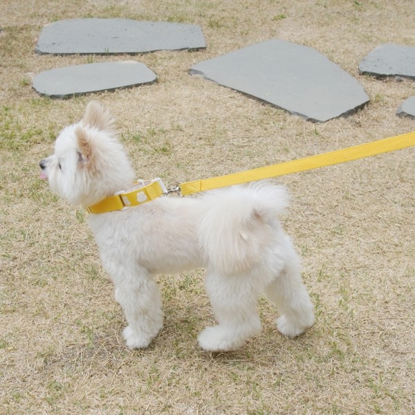 페오펫몰,베베 마틴게일 목줄(2컬러,목둘레 ~55cm)