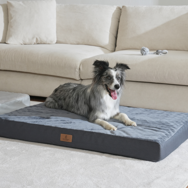 페오펫몰,[펫앤마마] 대형견 강아지 방석 쿠션 01 2종 (그레이/진그레이) L~2XL