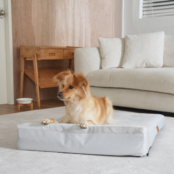 페오펫몰,[펫앤마마] 대형견 강아지 방석 베개 쿠션 02 2종 (그레이/진그레이) L~2XL