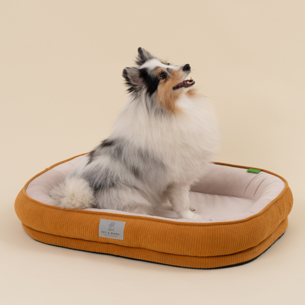 페오펫몰,[펫앤마마][새해특가] 강아지 방석 쿠션 3종 (화이트/오렌지/블루) M~2XL